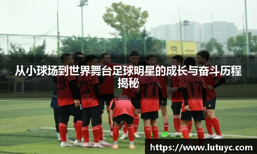 从小球场到世界舞台足球明星的成长与奋斗历程揭秘